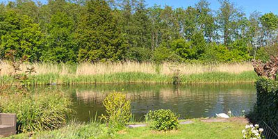 tuin